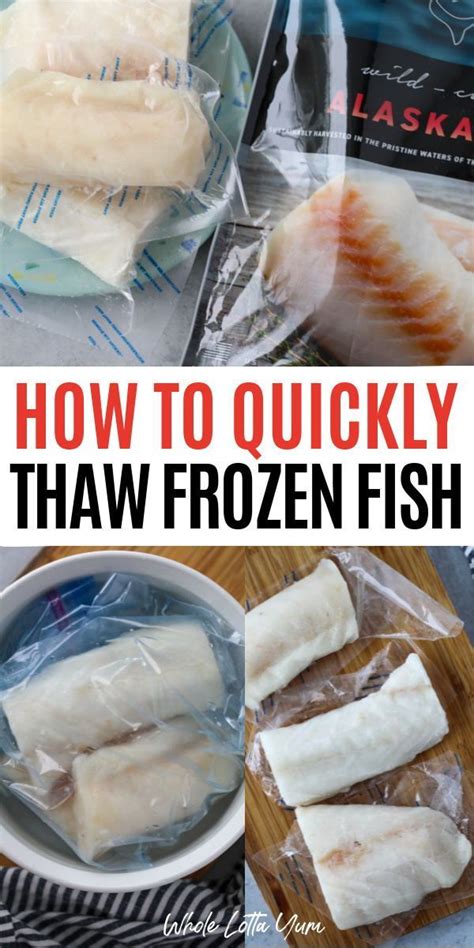 dethaw fish|How To Defrost Frozen Fish (Quickly & Safely) .